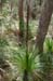 land_flo13